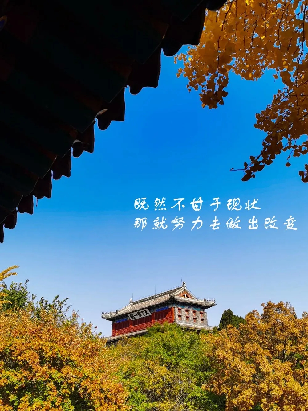 640 (2).webp (20).jpg