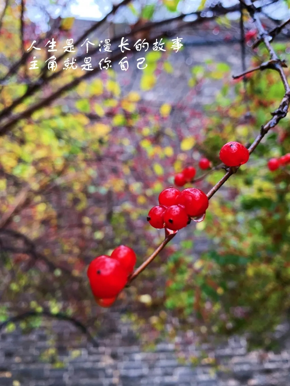 640 (2).webp (21).jpg