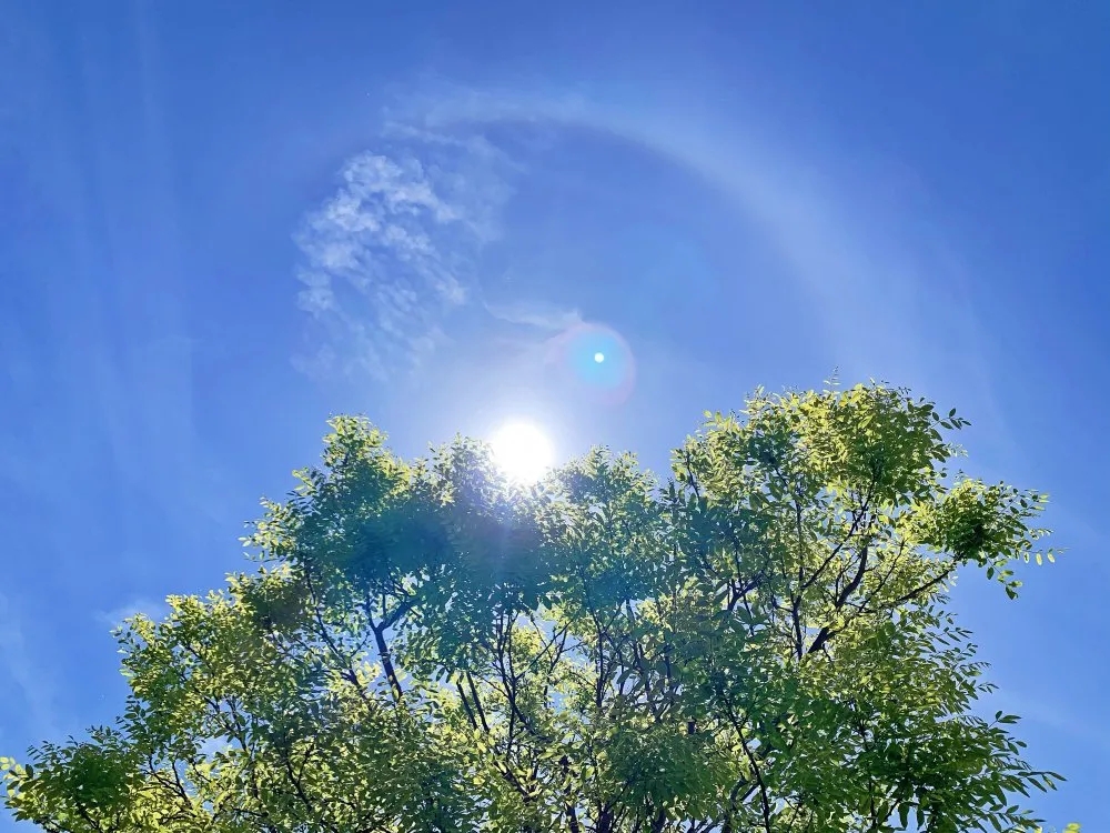 你好！夏天！ | 在关城的初夏遇见最美的景!