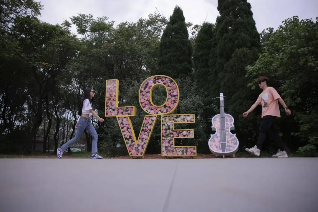 640.webp (1).png