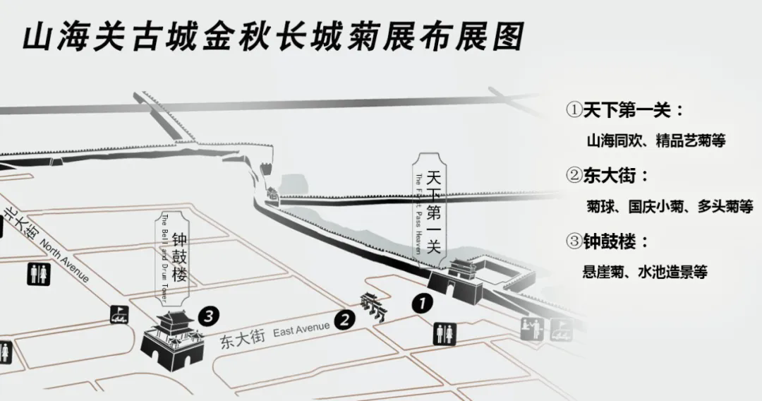 640.webp (3).png