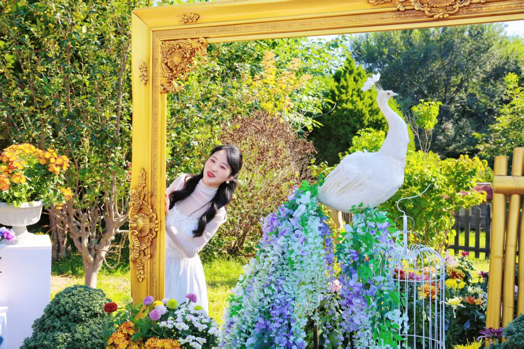 640.webp (2).png